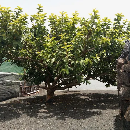 Casa Siempreviva Casa de Férias *