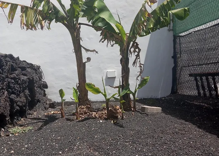 Σπίτι διακοπών Casa Siempreviva