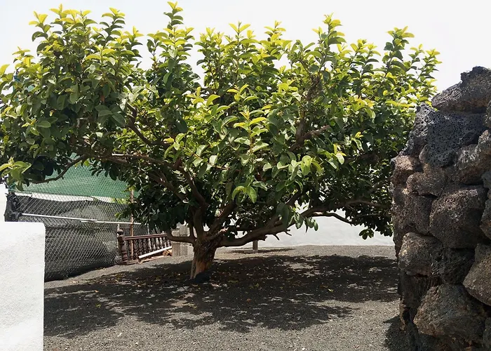 Casa Siempreviva Casa vacanze *